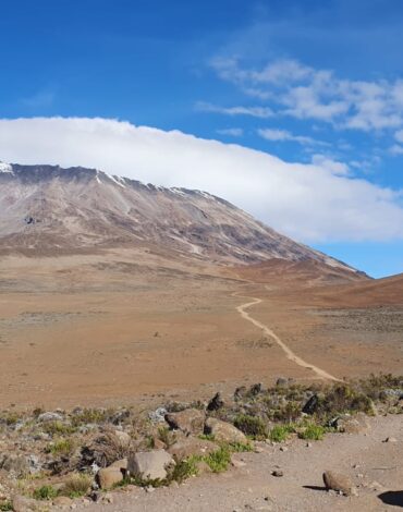 Vistas Kilimanjaro